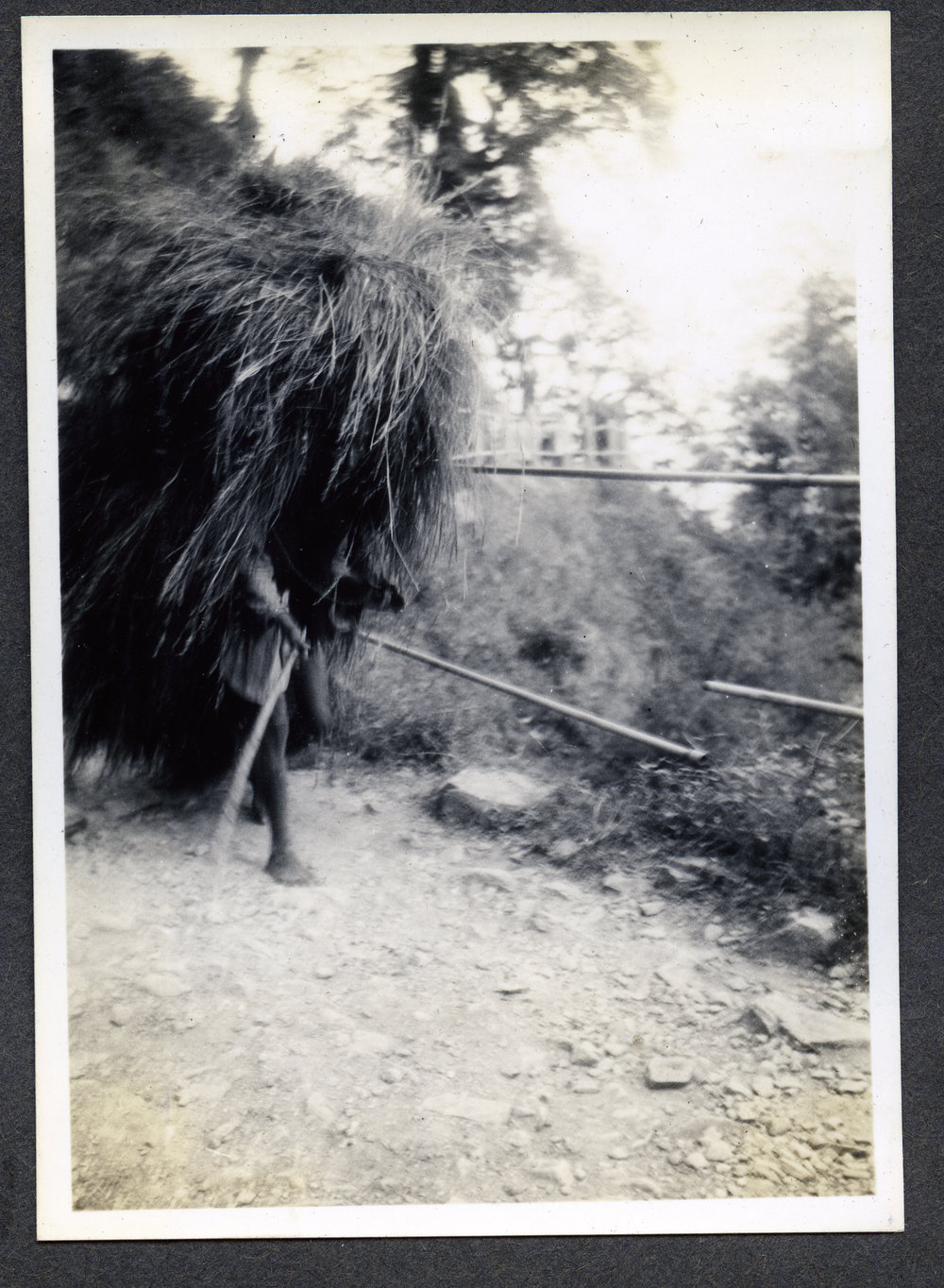 "The Grass Cutter (walking Haystack), Lundour" 