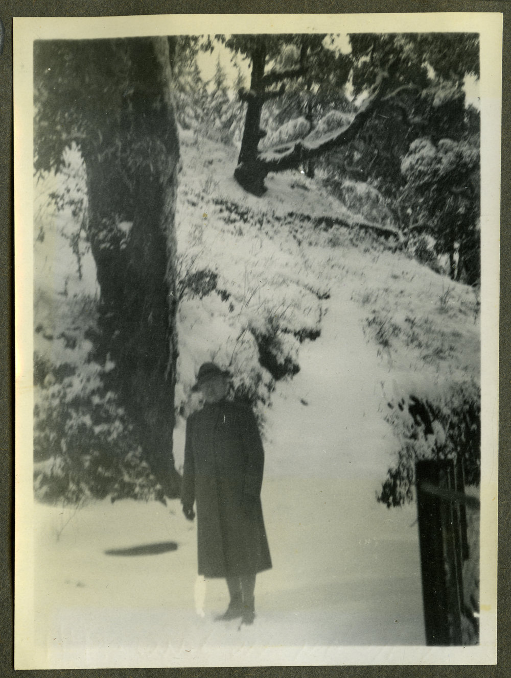 "Miss Farmer Rokeby, Landour, 1941"