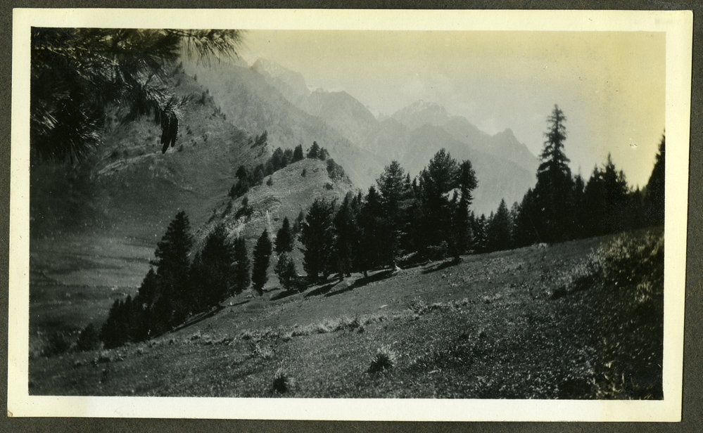 "Sonamarg," half way up the hillside, India