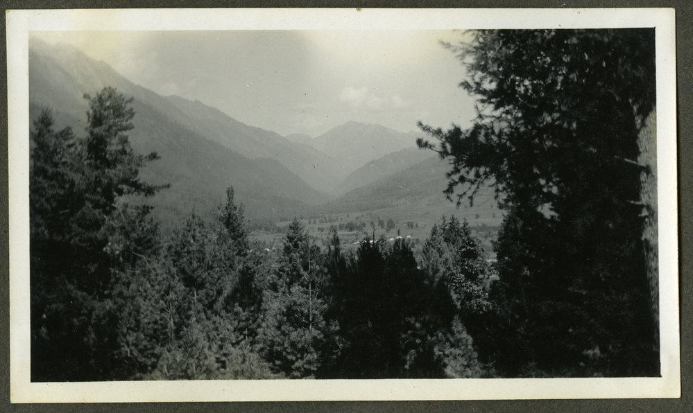"Kashmir," view of the mountains through trees 