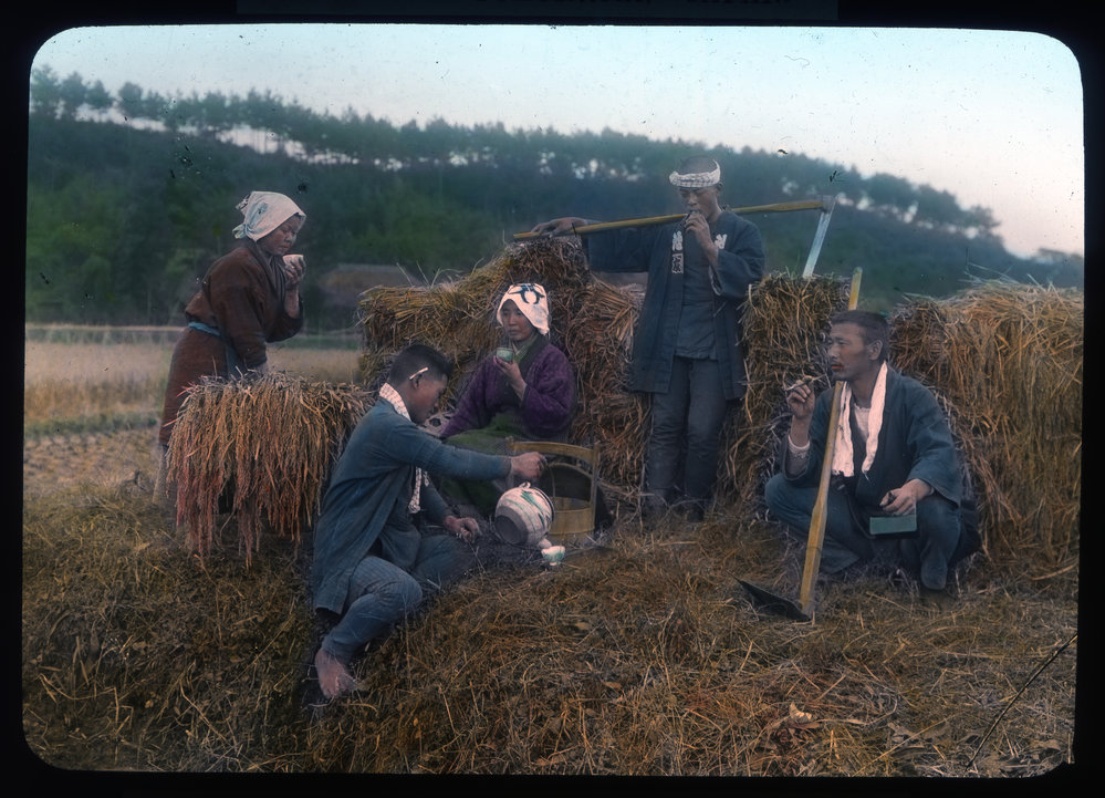 "Farmer taking refreshment in a rice field"