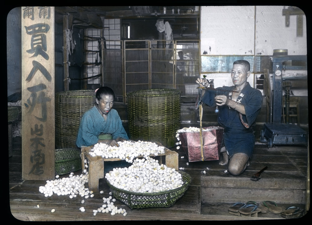 "Cocoons purchased and inspected"