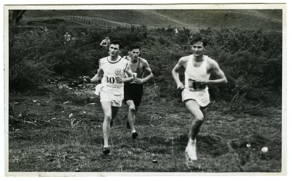 "Those Lupins!" St. Andrew's Trophy Race 1951, Presbyterian Harrier Club - Wellington