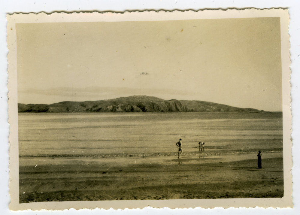 "Plimmerton," Presbyterian Harrier Club - Wellington