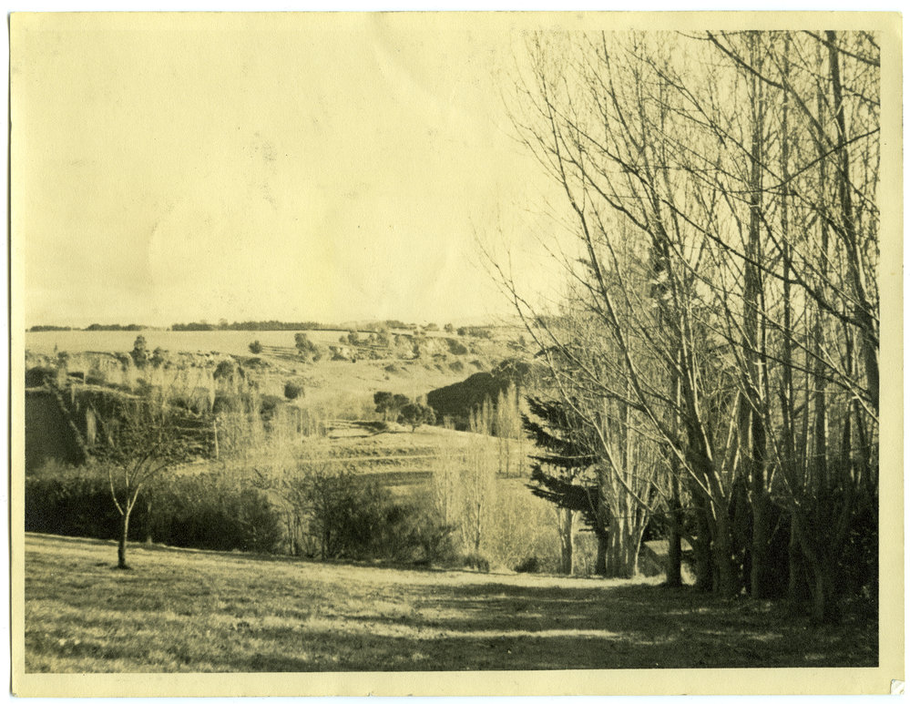 Unidentified countryside, Presbyterian Harriers Club - Wellington