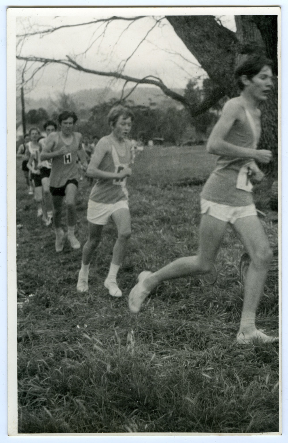 "Junior Dorne," Presbyterian Harrier Club - Wellington