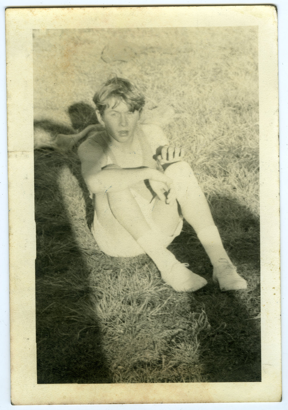 Unidentified harrier seated on the grass, c. 1972