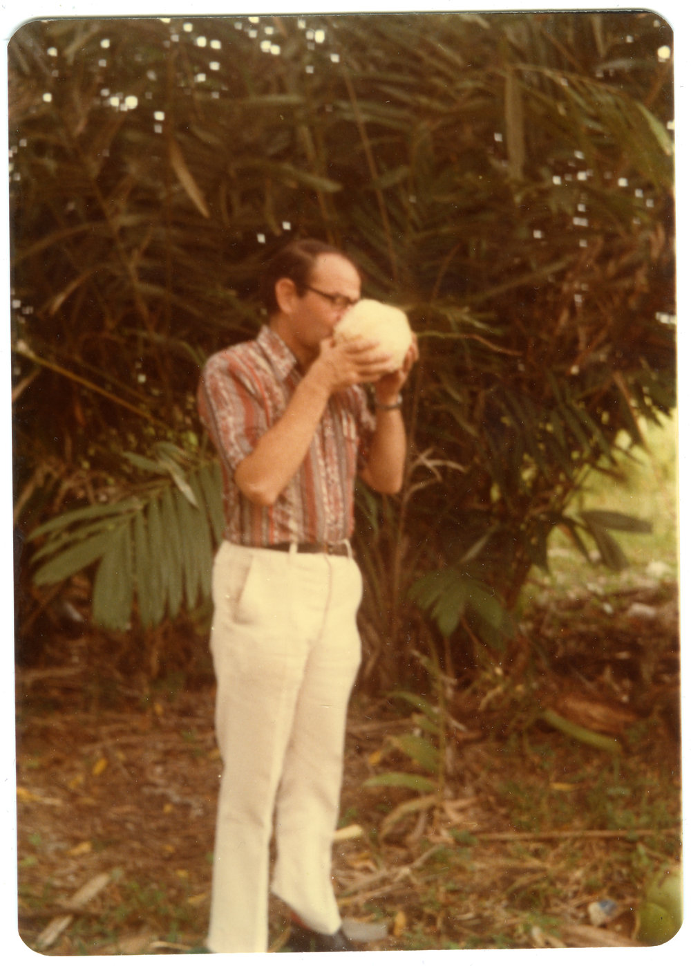 Robert Patterson drinking coconut water