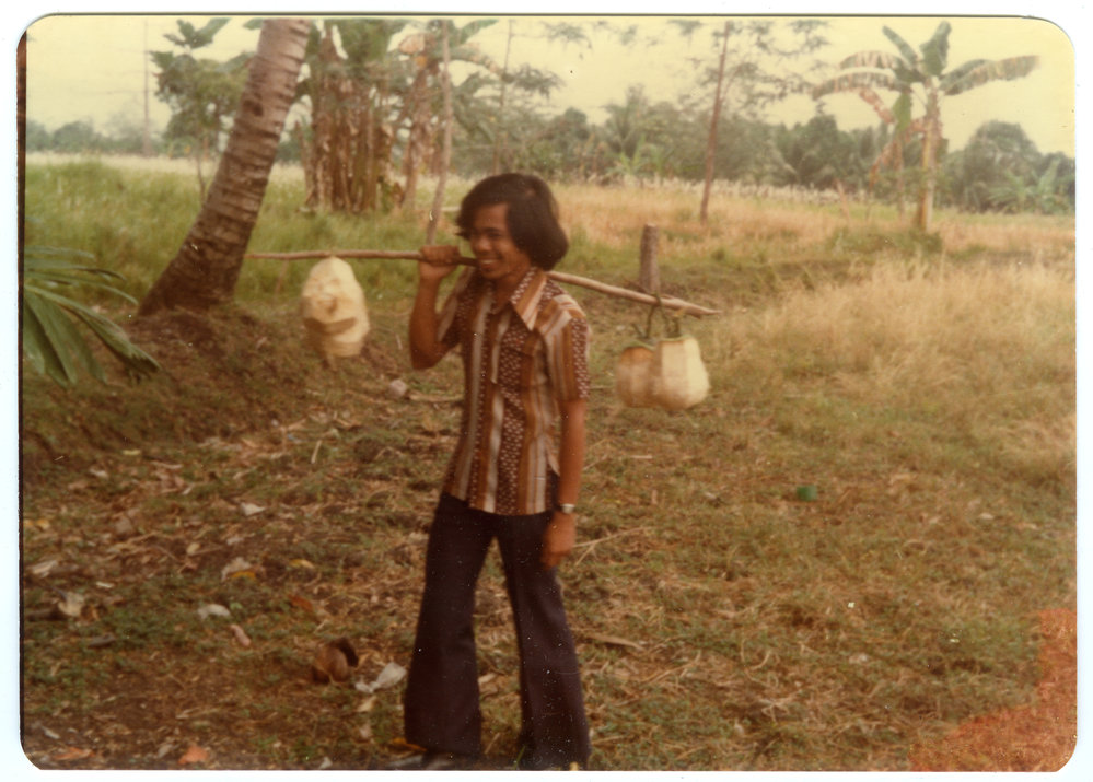 Andarias Carrying Coconuts