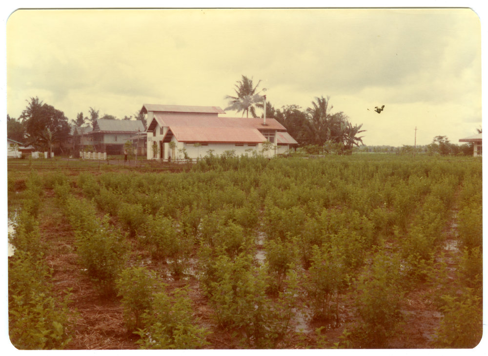 Tajuncu Ranch