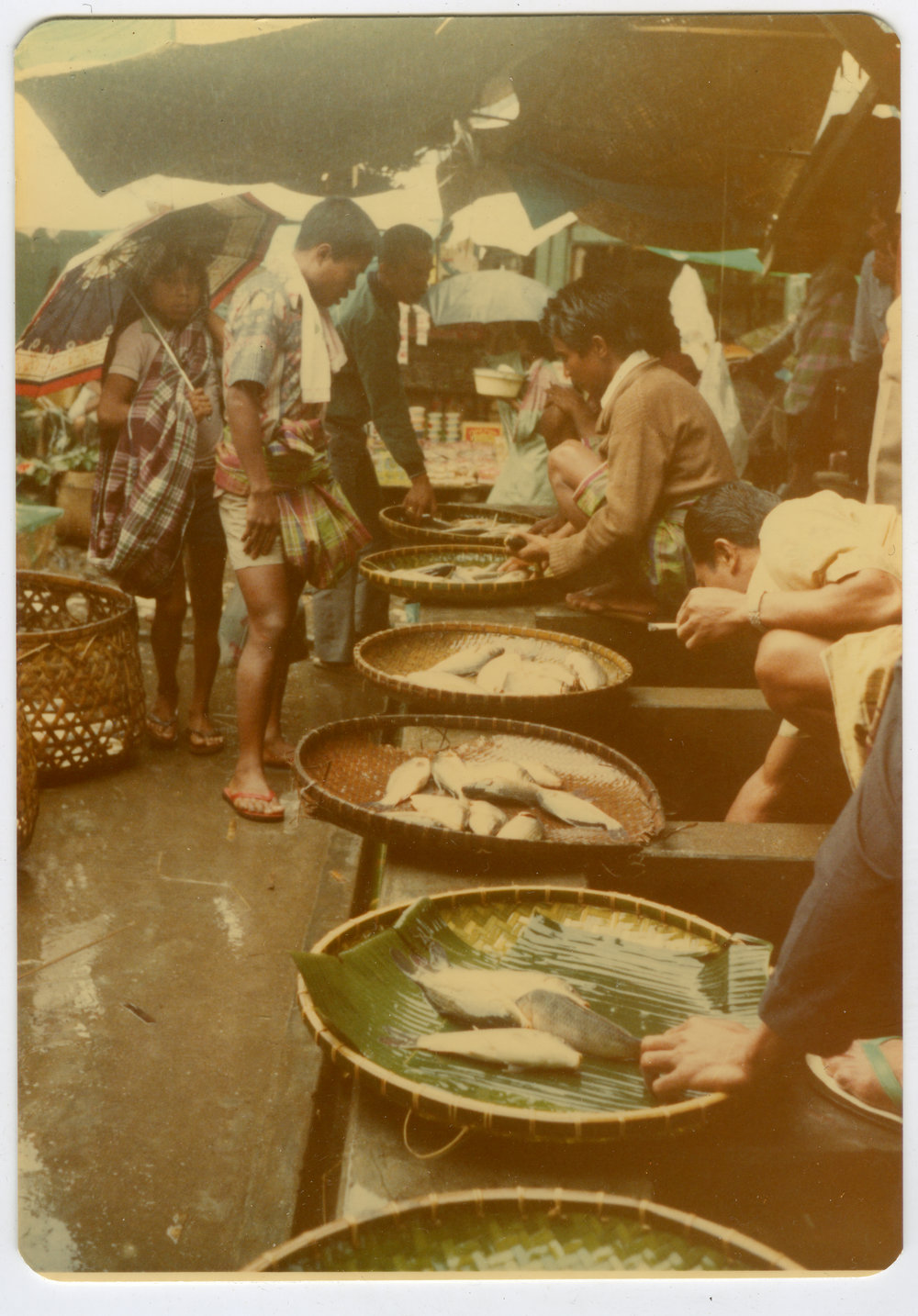 Selling Live Fish at the Rantepao Market
