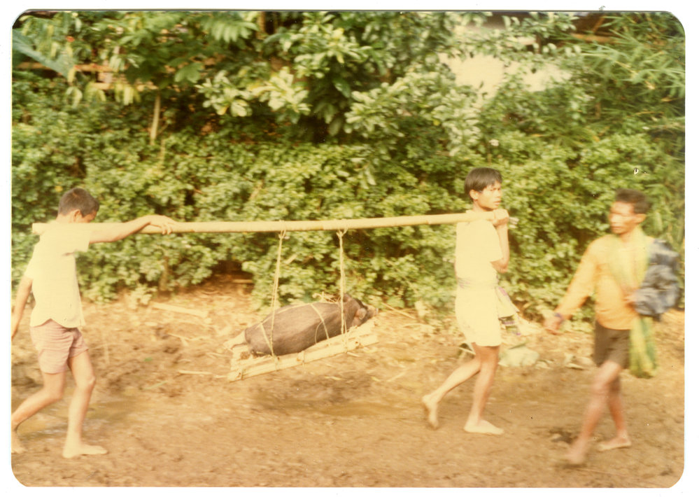Boys Carrying a Piglet Away from the Rantepao Market