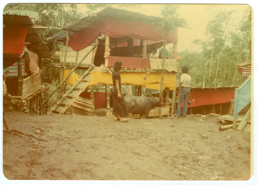 One of the Temporary Buildings at "pesta"