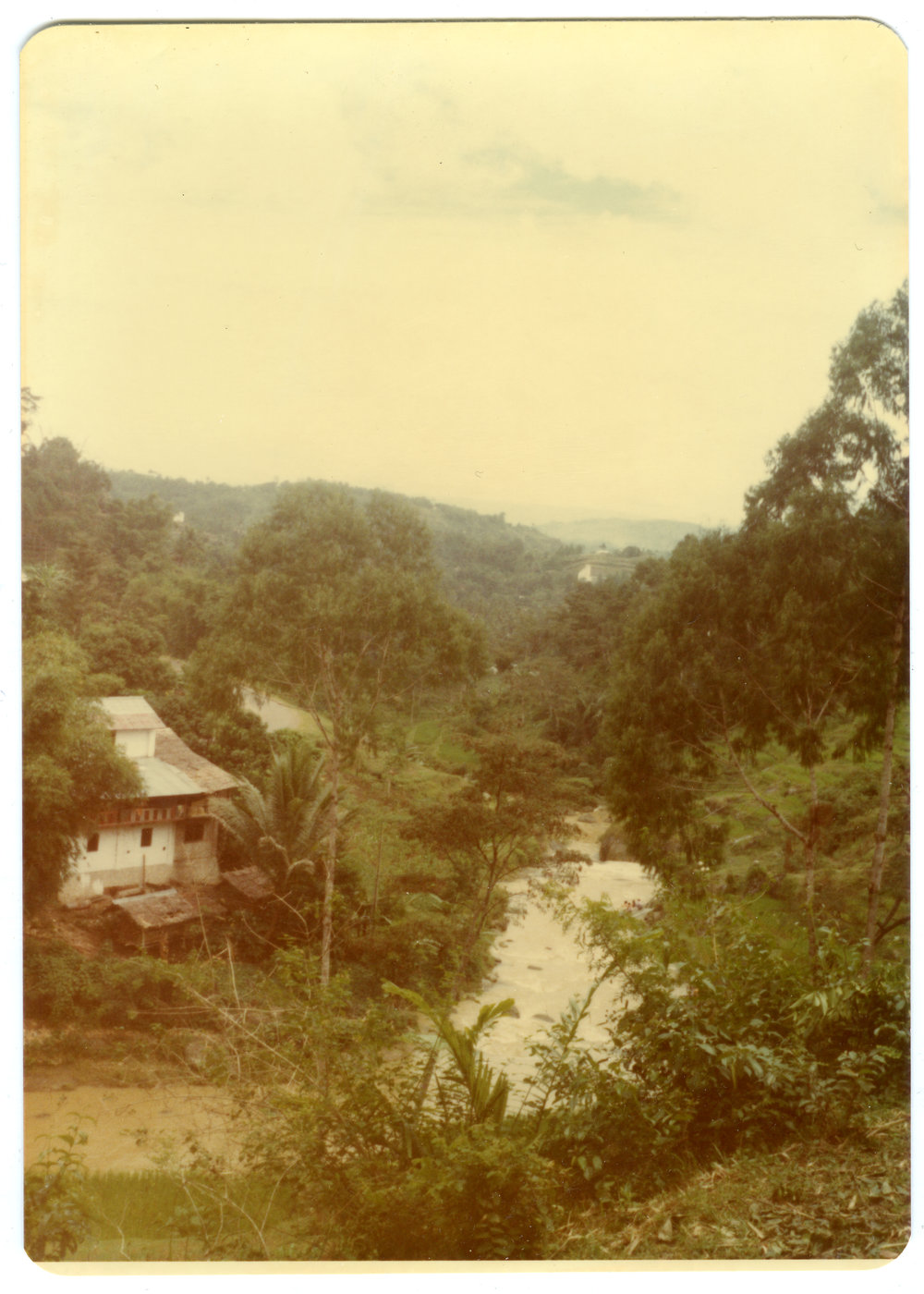 A View of a River