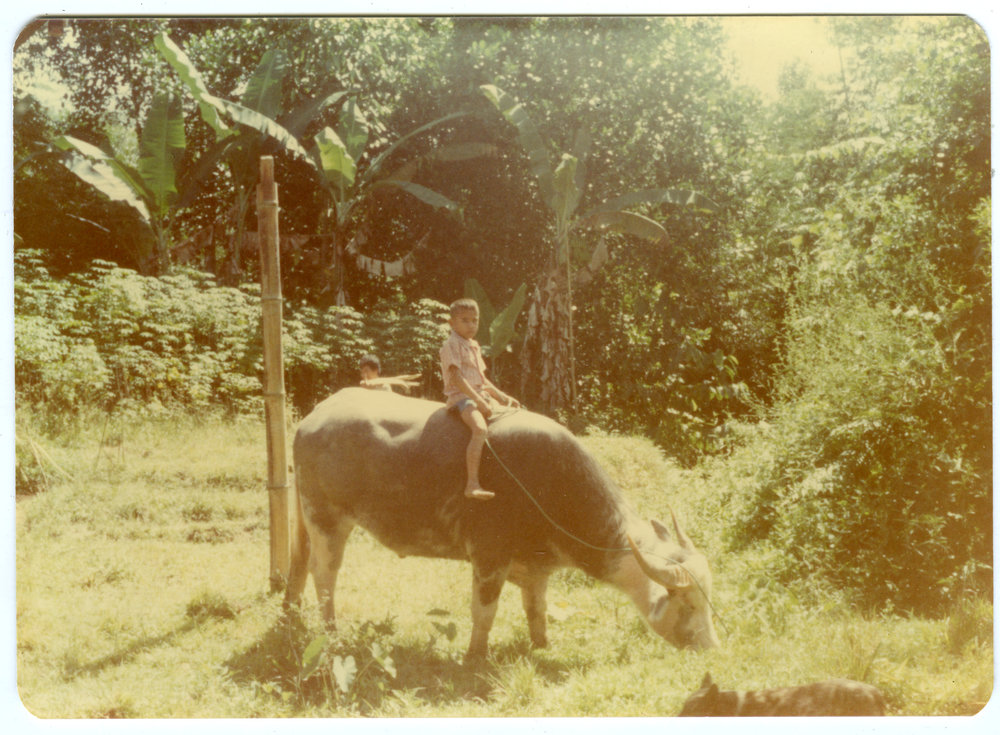 Child on Water-buffalo