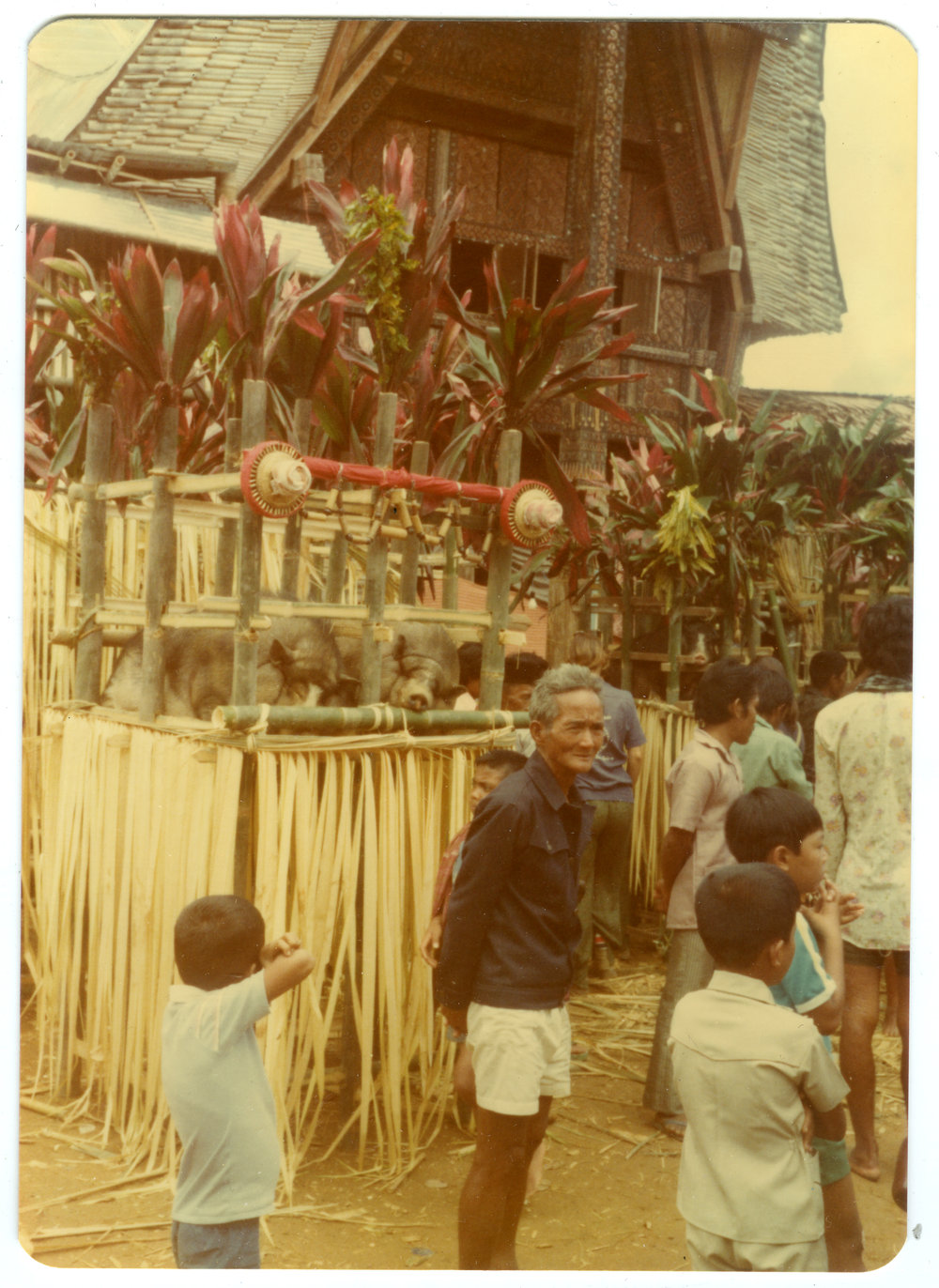 At the "Pesta Merauk"