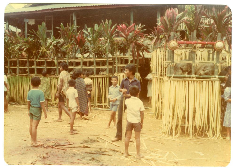 At the "Pesta Merauk"