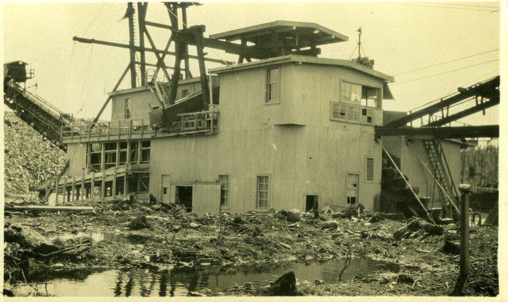 Rimu dredge