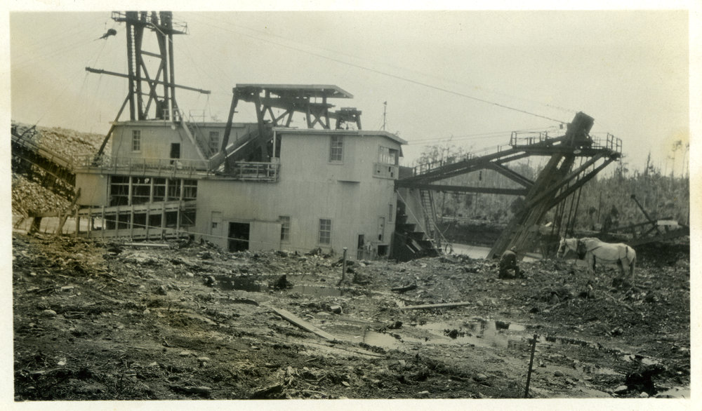 Rimu Dredge