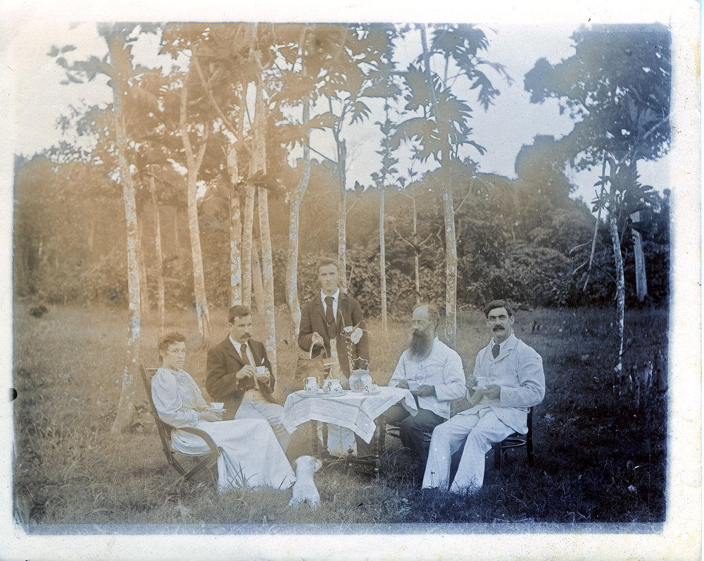 Santo afternoon tea