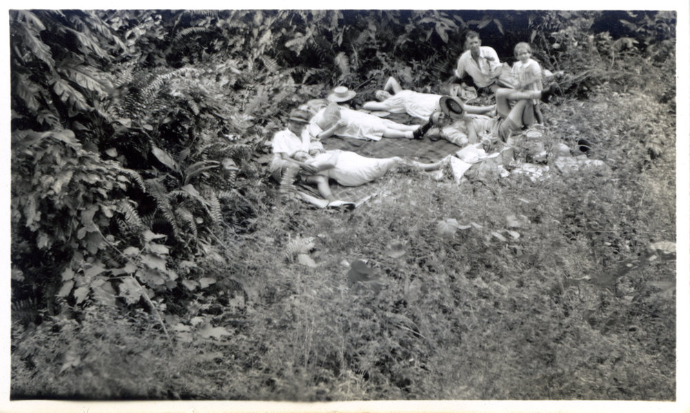 Picnic on Efate