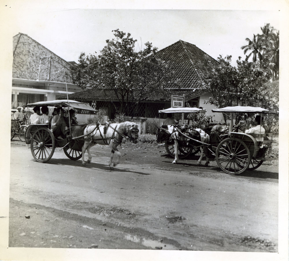 Polyclinic, Lumadang