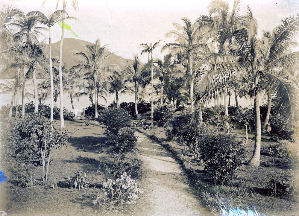 Front garden of mission station, Nguna