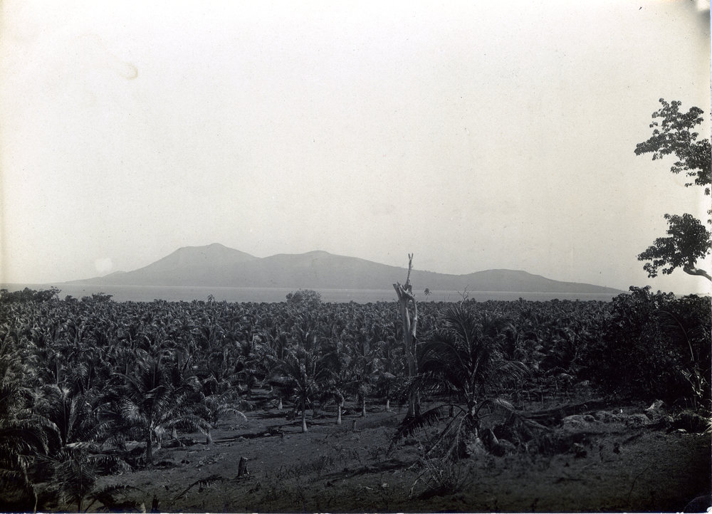 Nguna Island