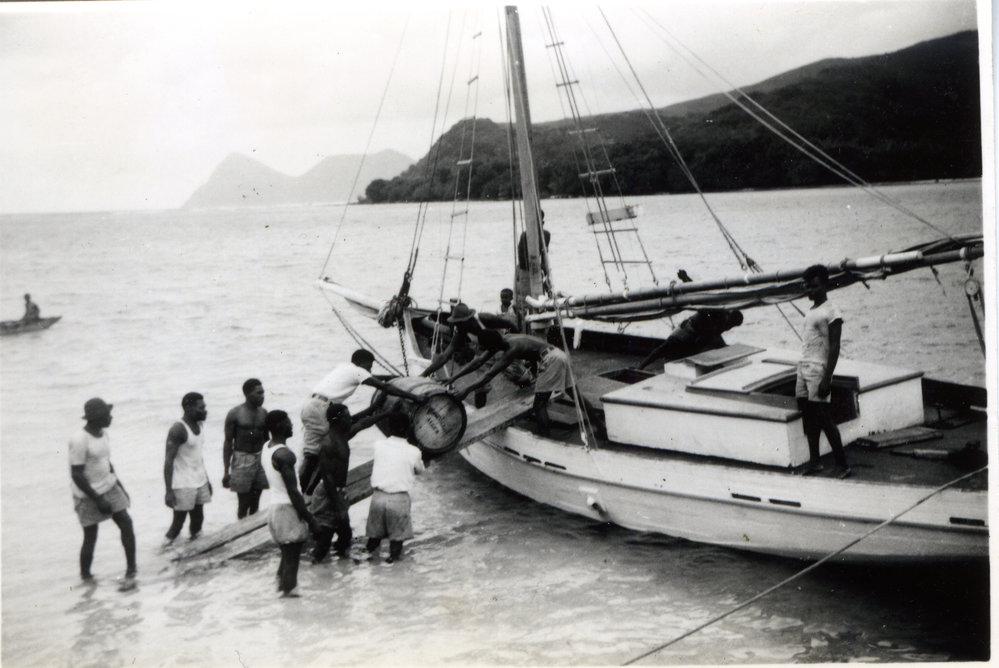 Landing arrowroot onto the "Dove"