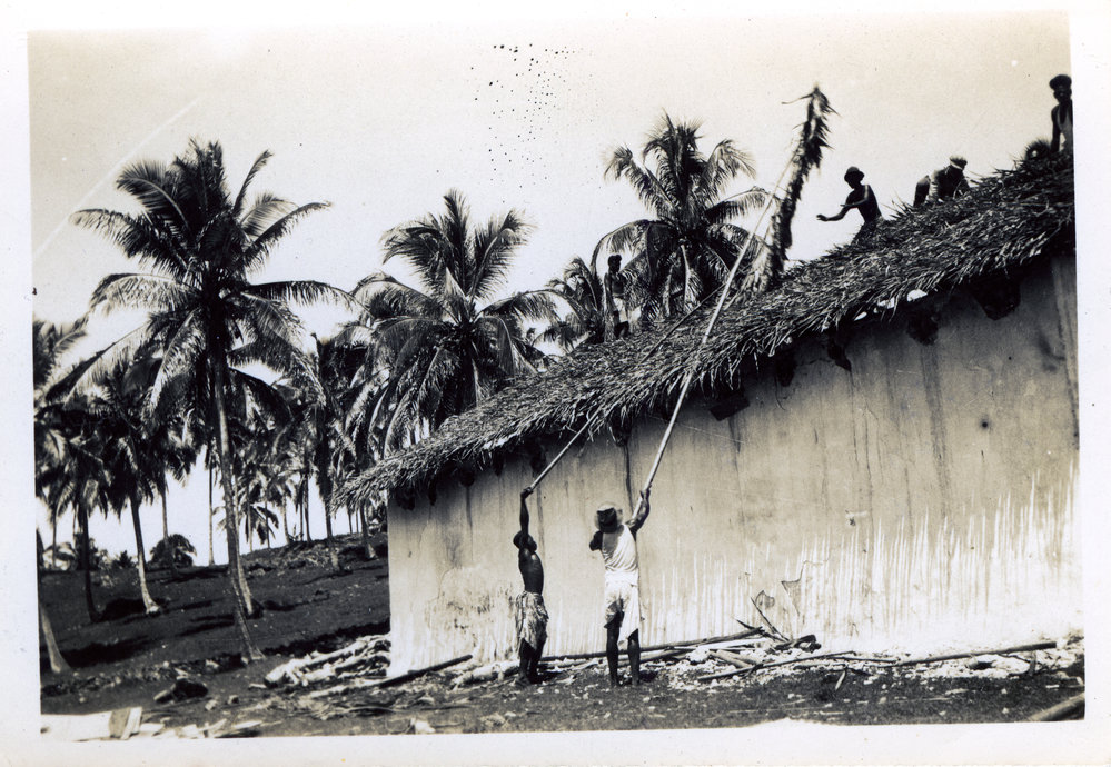 Thatching copra