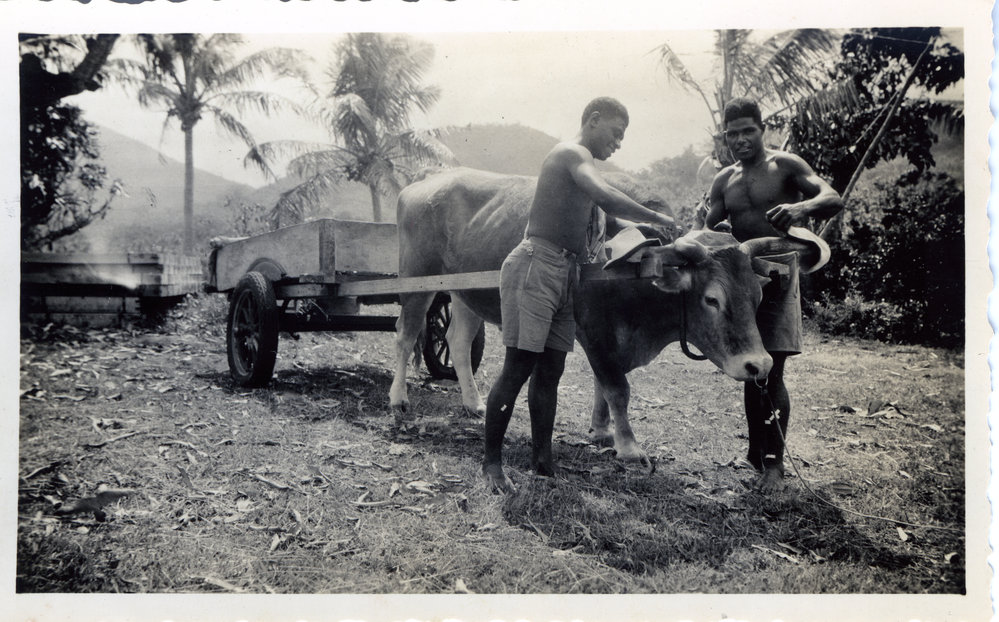 The mission bullock cart, Tongoa