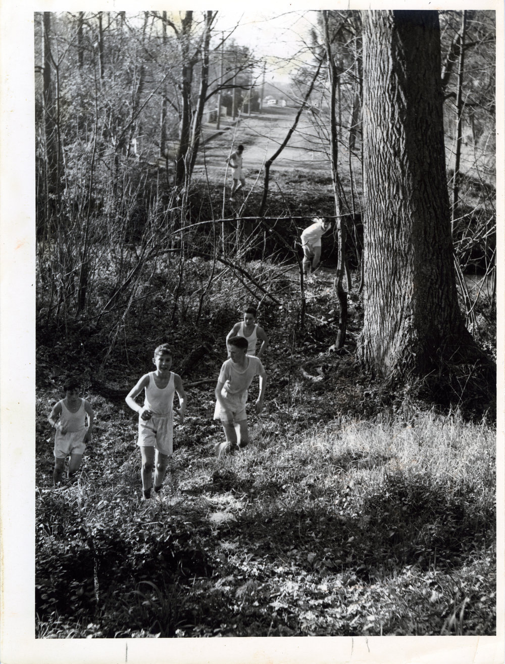 Presbyterian Harriers, Christchurch