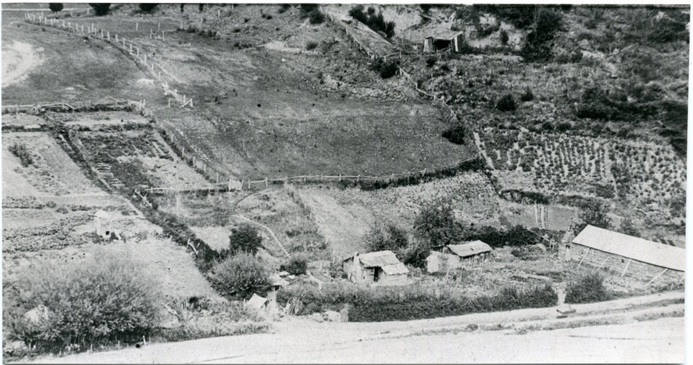 Chinese Camp Arrowtown