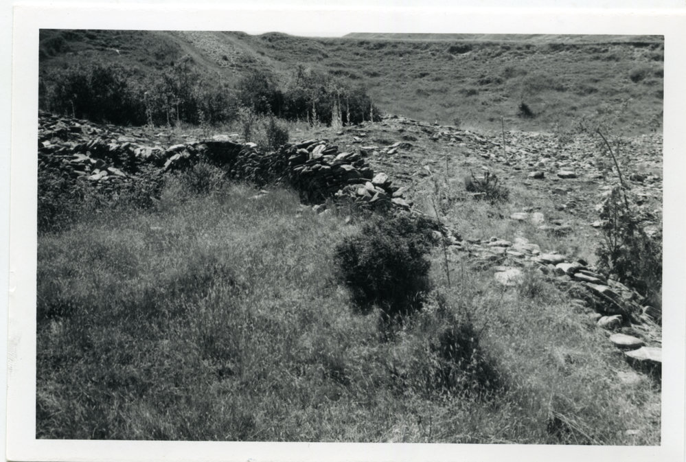 Stone remains of Miners Huts out of Macetown