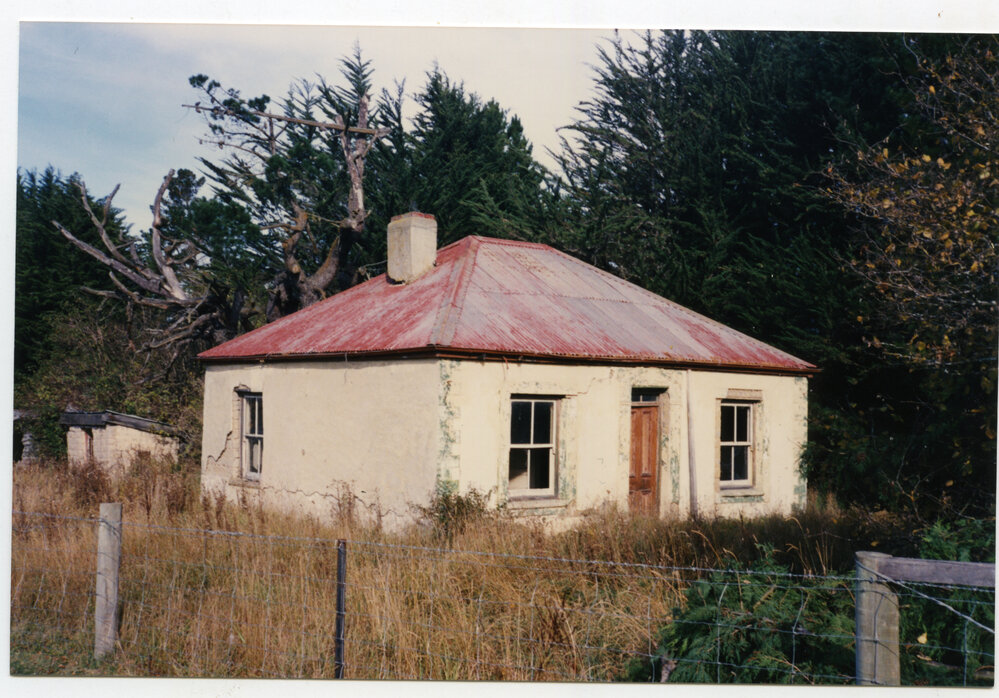 Gay Tan's House Macraes