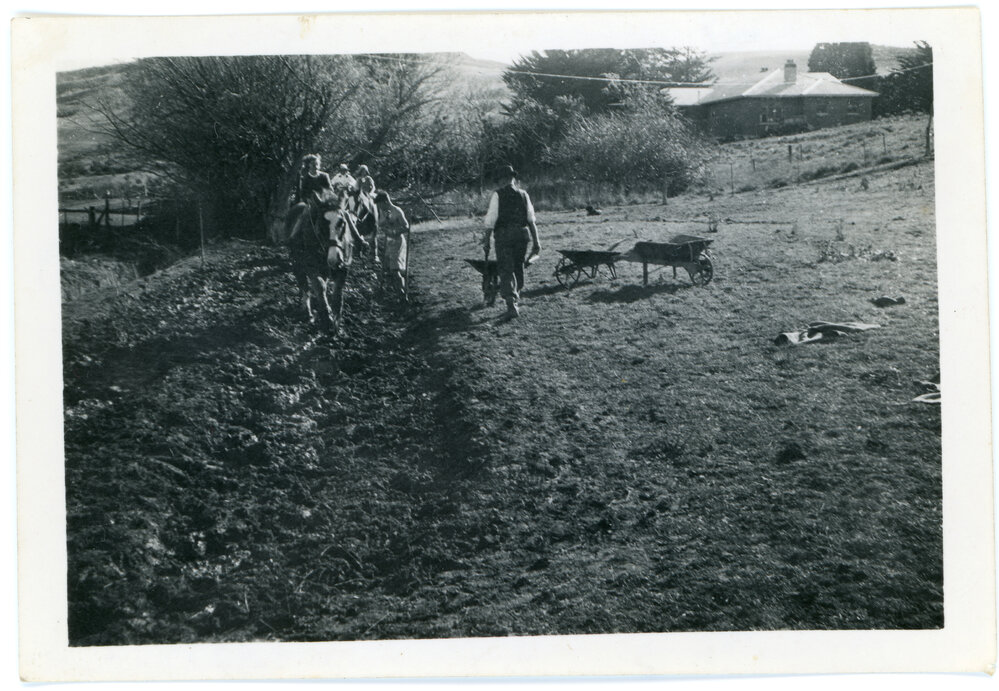 Making mud puddle for construction of Morrisons Church
