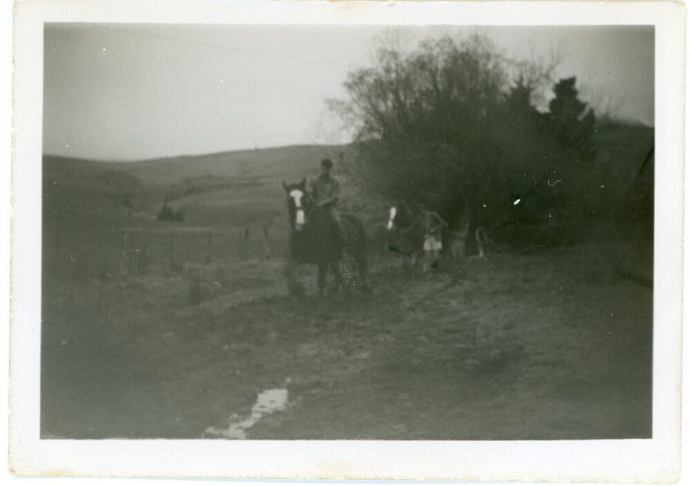 Horses puddling mud