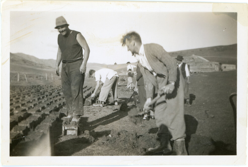 Forming and laying out mud bricks