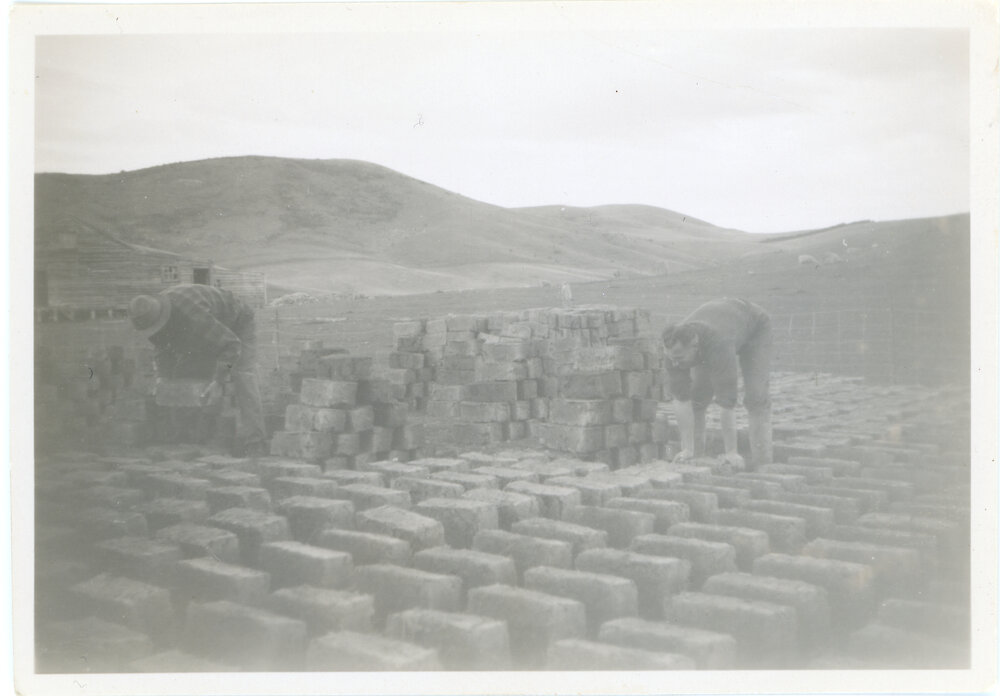 Stacking dried bricks