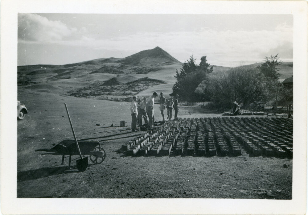Bricks for Morrisons Church