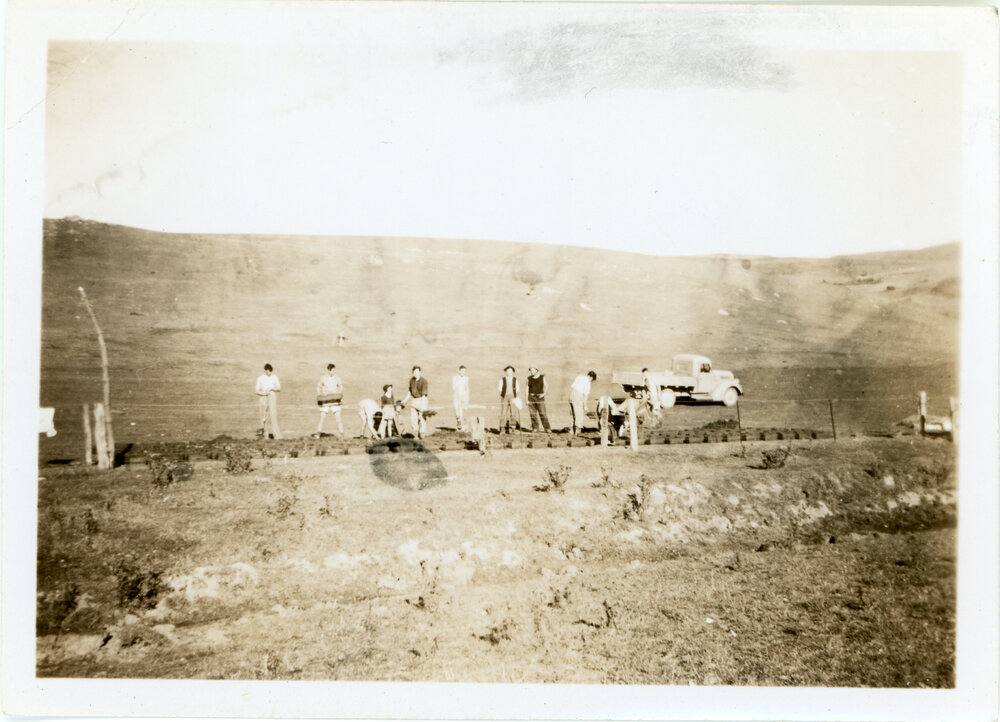 Laying out the bricks