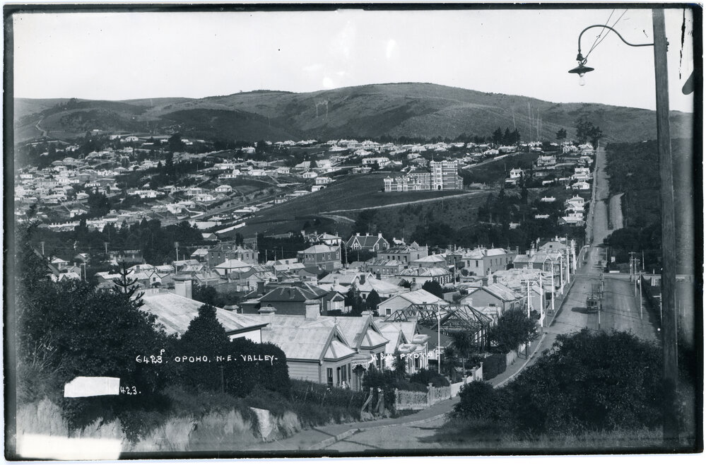 Opoho N.E. Valley, Dunedin