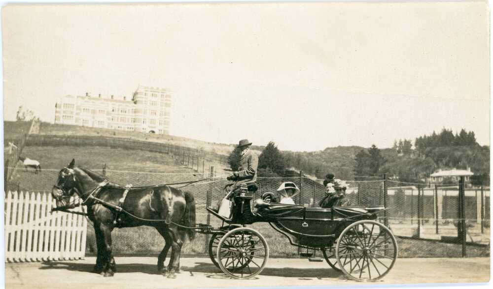 Carriage with Knox College in the distance