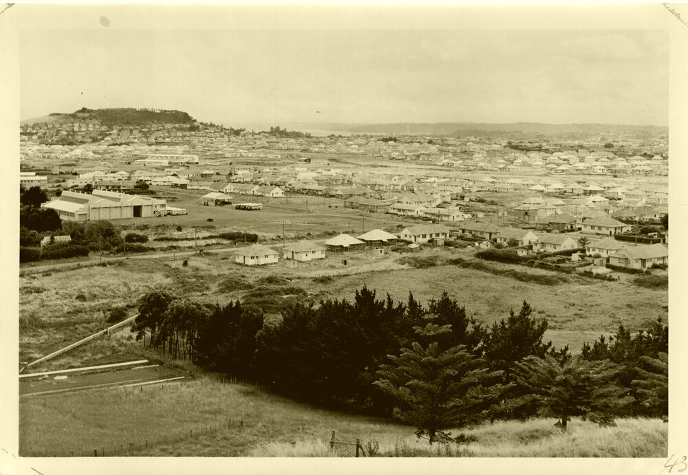 Looking N.W from Mt Roskill