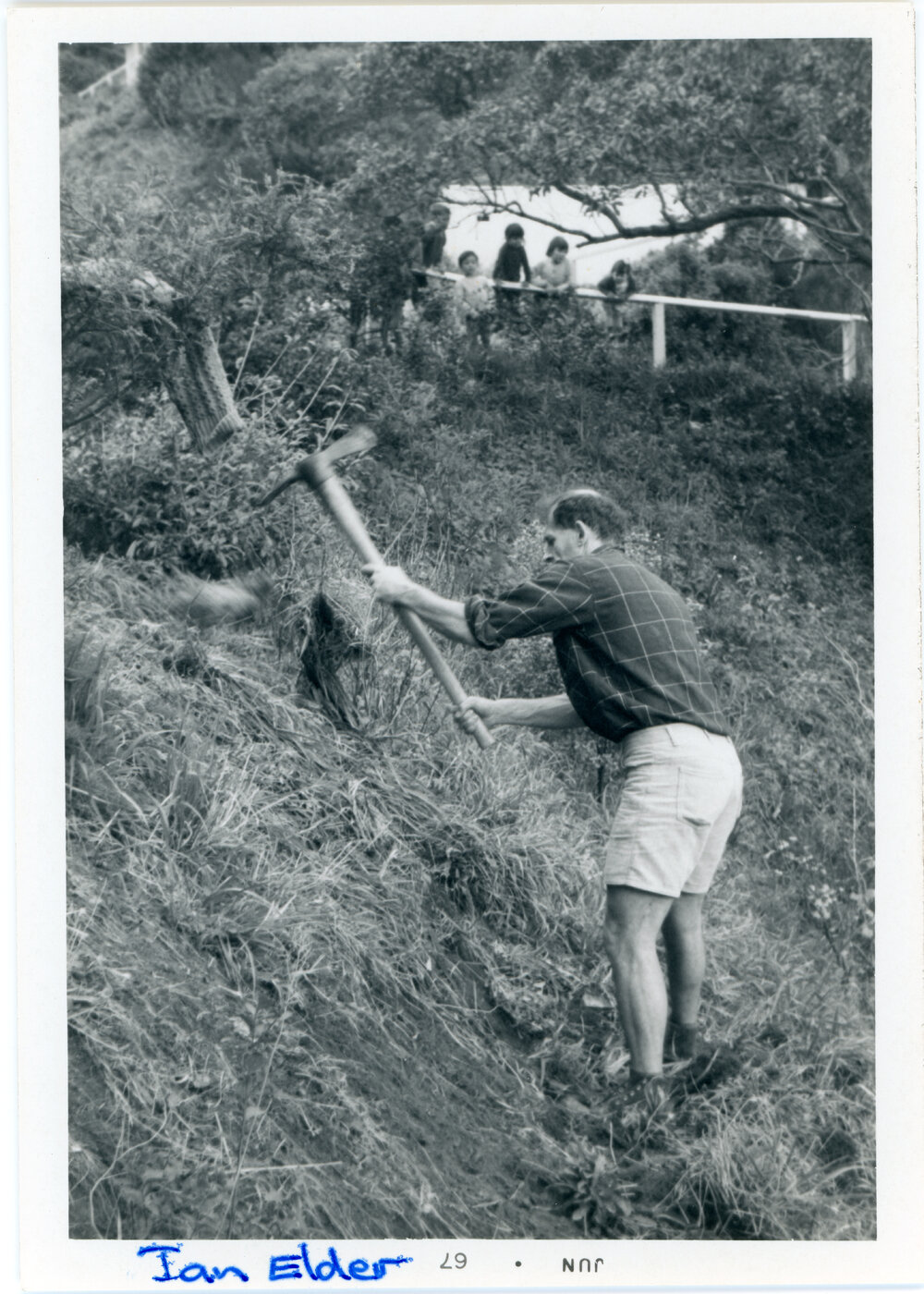 Wadestown Parish Working Bee