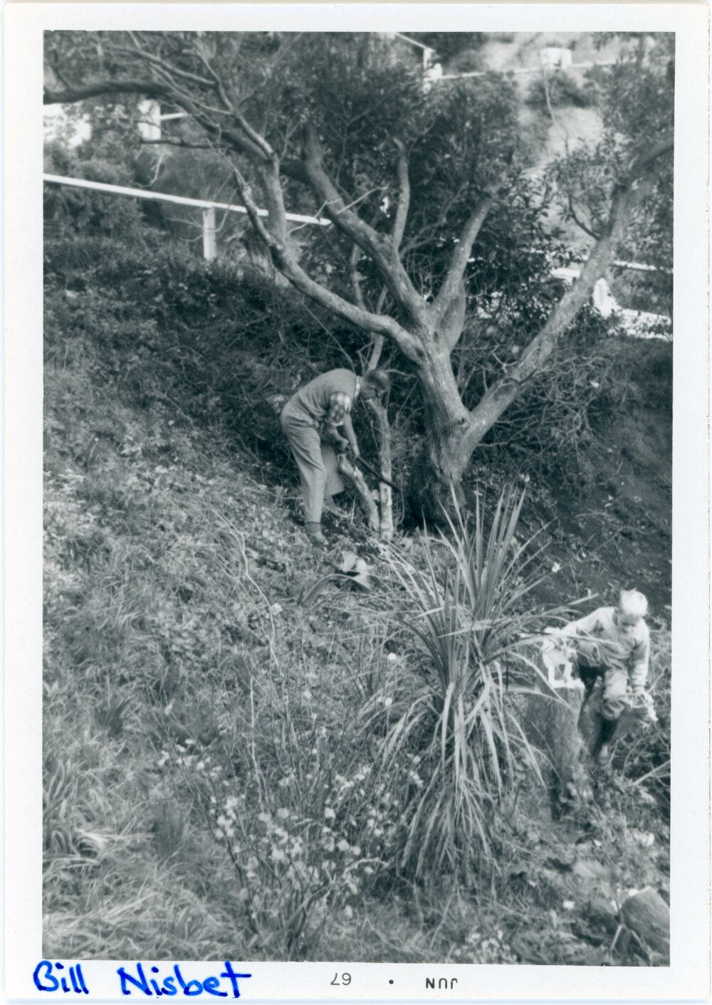 Wadestown Church Working Bee