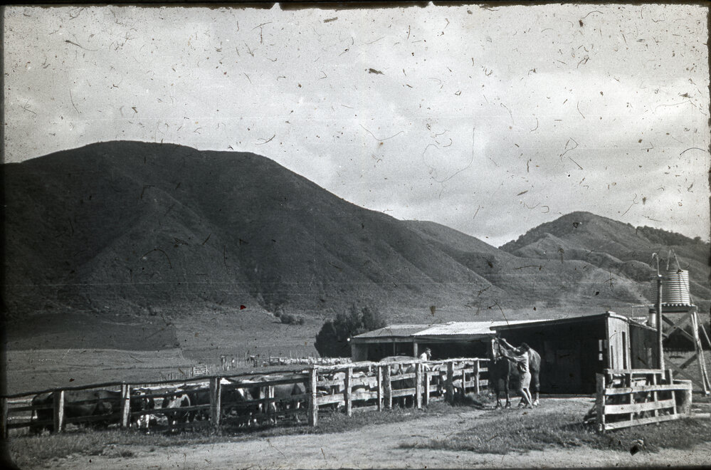 Milking Sheds at Te Whaiti Maori Boys' Farm School