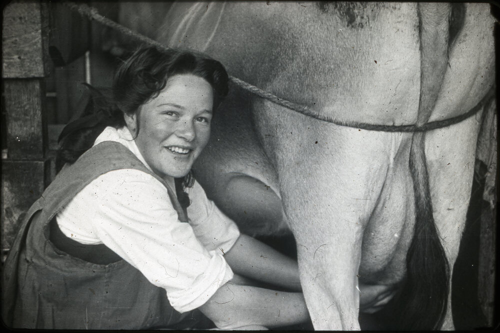 Young Woman Milking a Cow