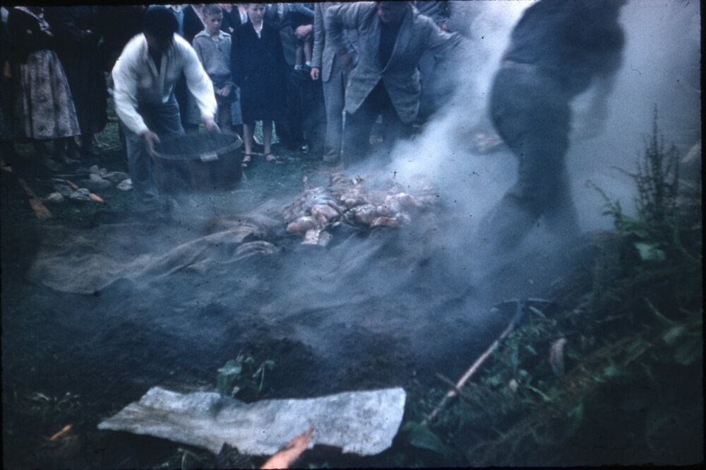 Hāngī in Celebration of the PFZ Visit to New Zealand