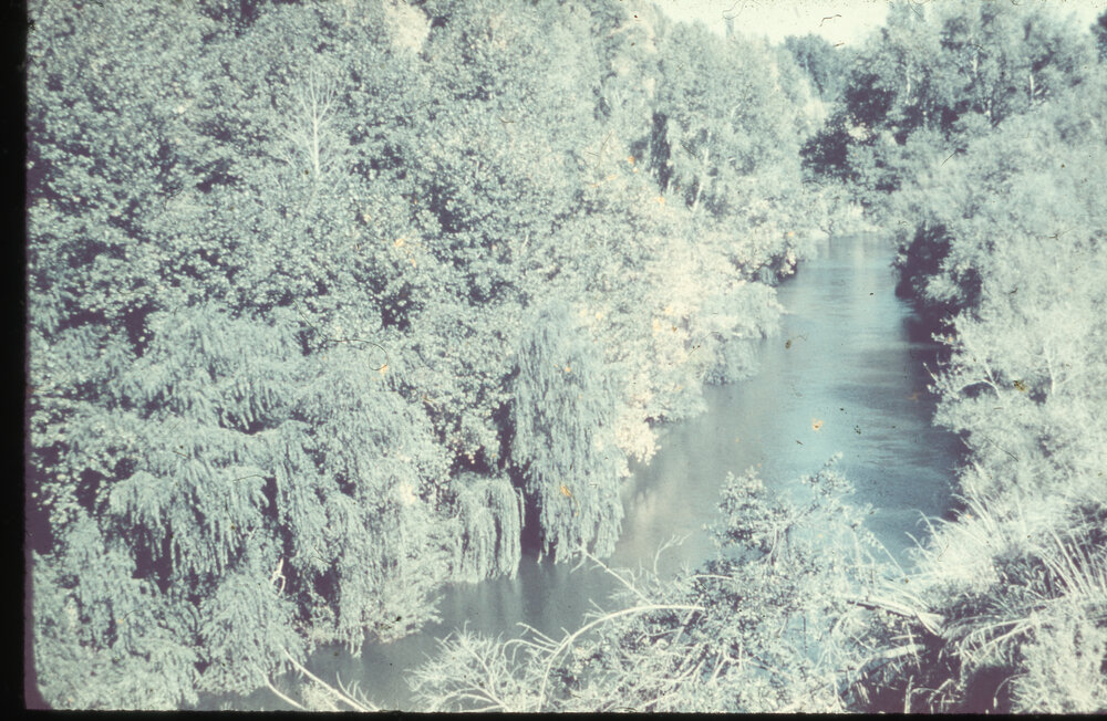 Nūhaka River Scenic View